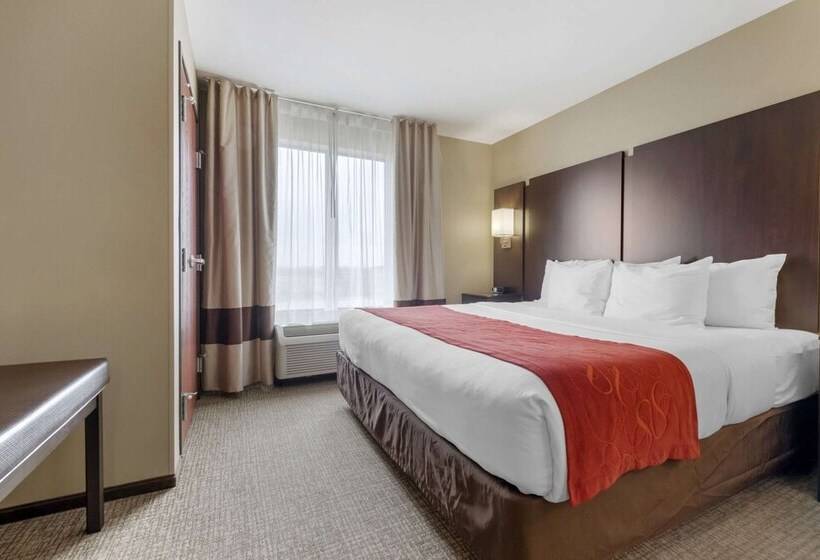 Люкс, Comfort Suites And Conference Center