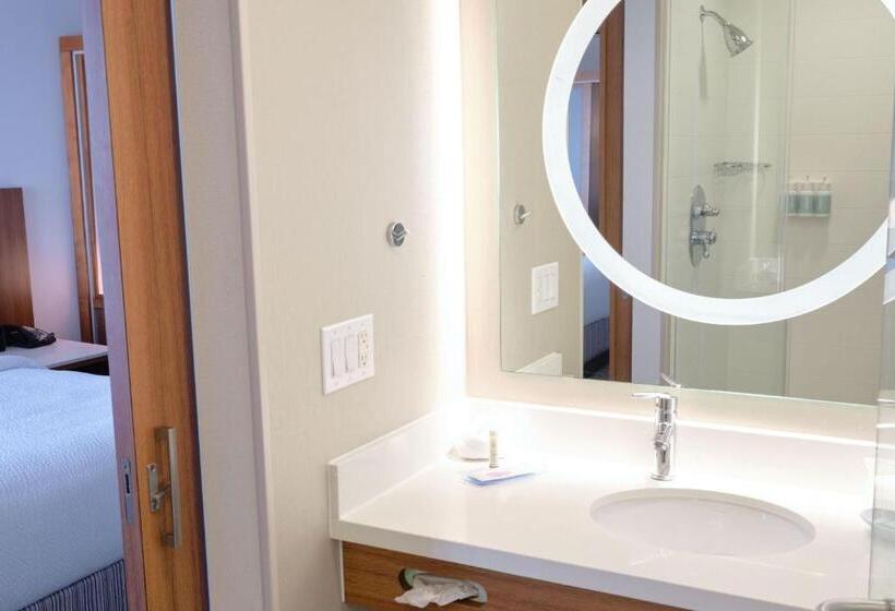 Студия Стандарт, Springhill Suites By Marriott Dallas Richardson/plano