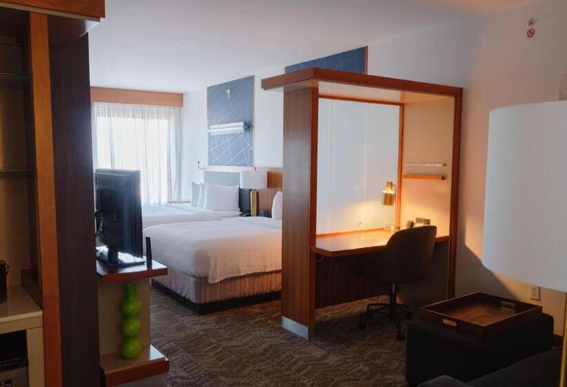 スタンダードスタジオ, Springhill Suites By Marriott Dallas Richardson/plano