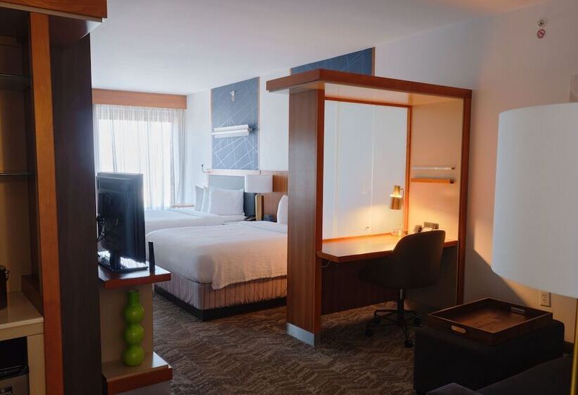 Люкс Адаптированный для Инвалидов, Springhill Suites By Marriott Dallas Richardson/plano
