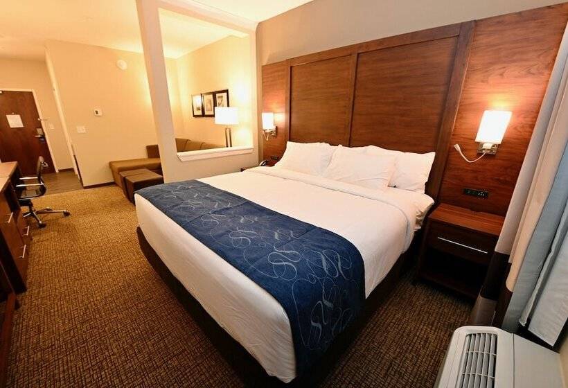 Люкс Адаптированный для Инвалидов, Comfort Suites