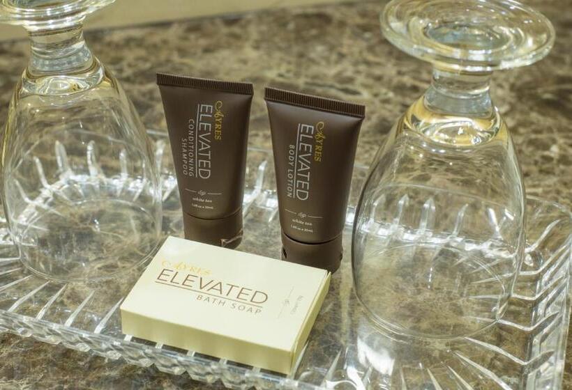 디럭스 룸 킹사이즈 침대, Ayres Hotel Redlands   Loma Linda
