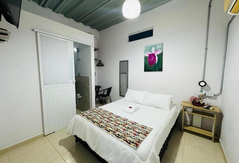 스탠다드 룸, Hostal Bon Hábitat