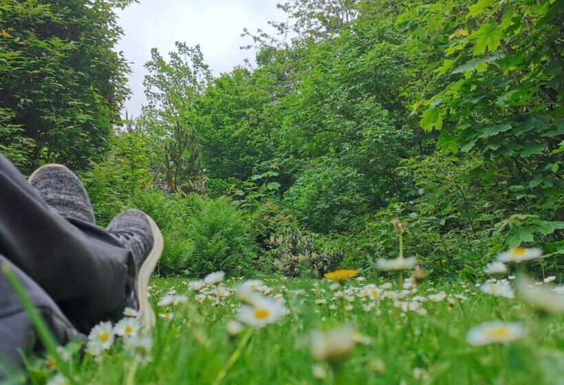 Номер Стандарт, Vor Lauter Bäumen B&b