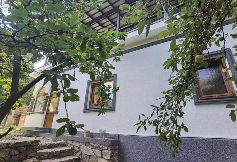 خانه 1 خوابه, Vila Zia