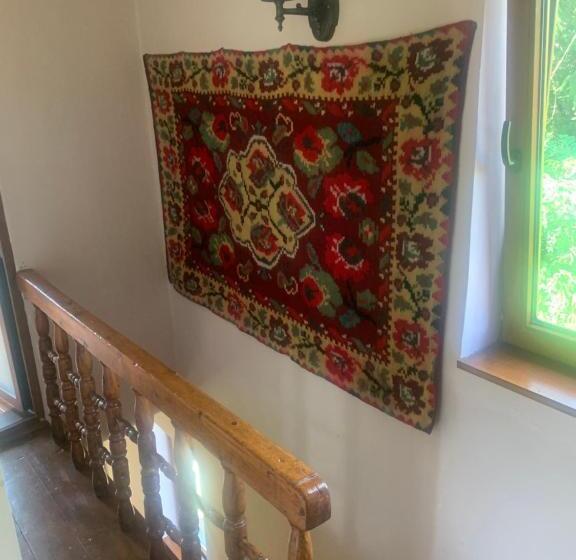 آپارتمان 1 خوابه با تراس, Vila Zia