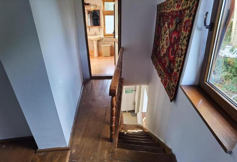 آپارتمان 1 خوابه با تراس, Vila Zia