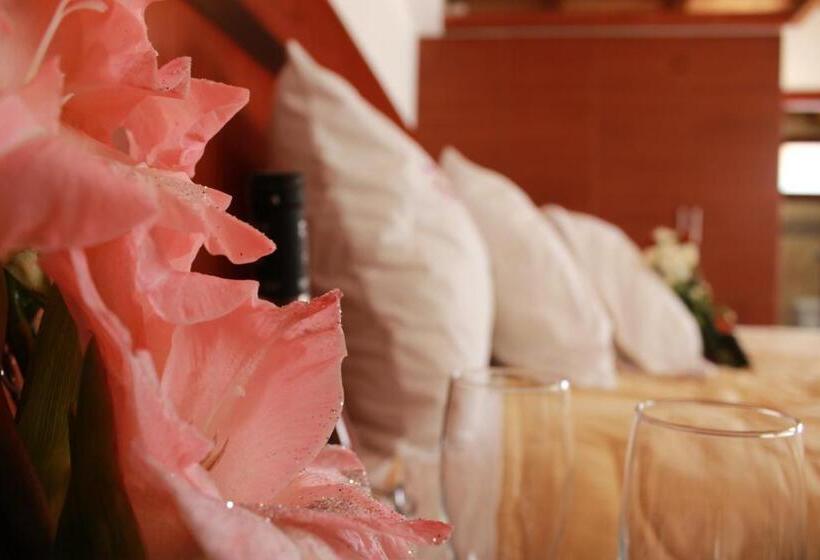 اتاق سوپریور, Gran Hotel Guisama