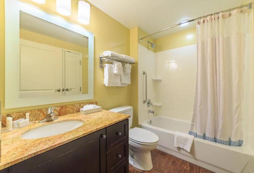 Студия Стандарт Кровать Куин, Towneplace Suites Farmington
