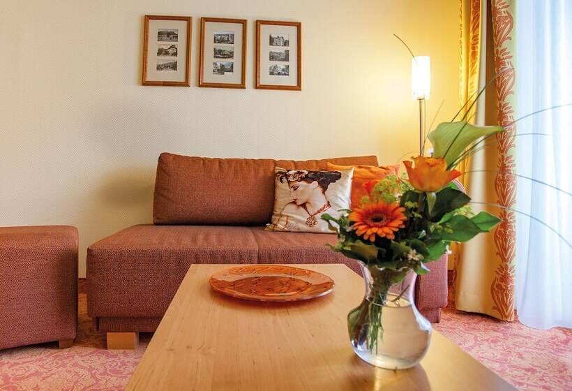 Номер Комфорт Индивидуальный, Vitalhotel Am Stadtpark Superior