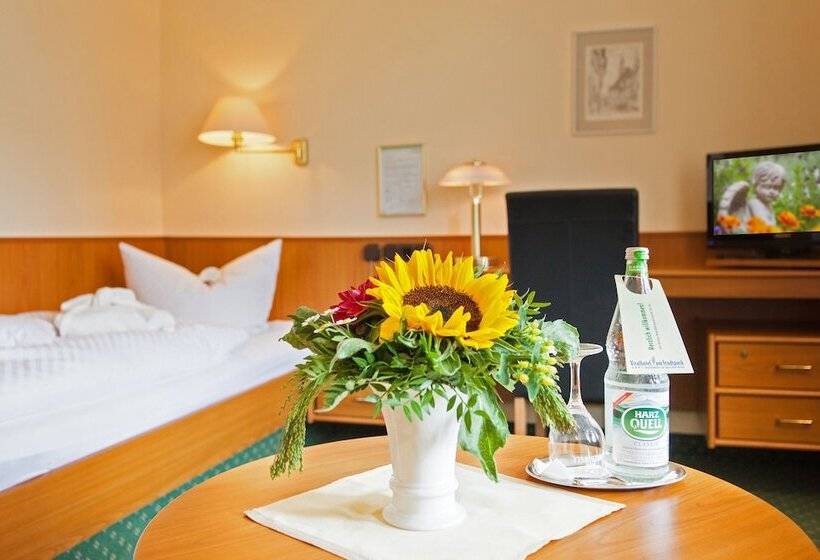 Индивидуальный Номер Классика, Vitalhotel Am Stadtpark Superior