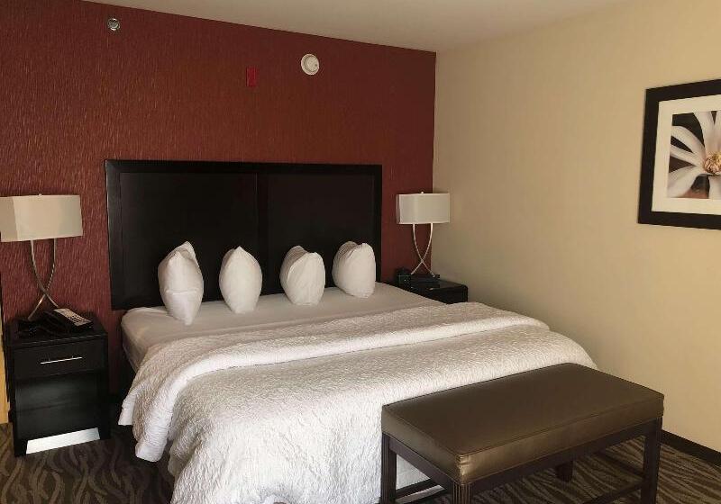 Standard Szoba King Size Bed, Hampton Inn Augusta Fort Eisenhower
