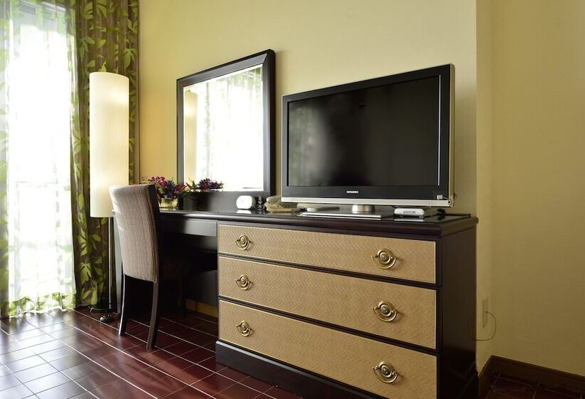 Номер Премиум, Okinawa Kariyushi Resort Exes Ishigaki