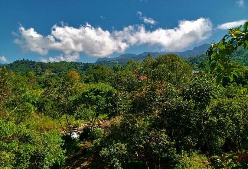 디럭스 룸, Urapan Del Rio   Finca Campestre Junto Al Rio