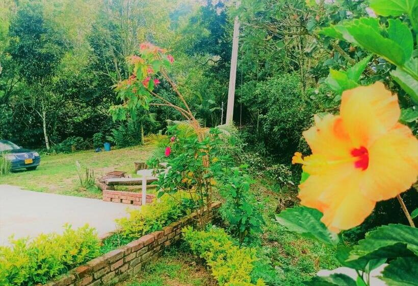 디럭스 룸, Urapan Del Rio   Finca Campestre Junto Al Rio