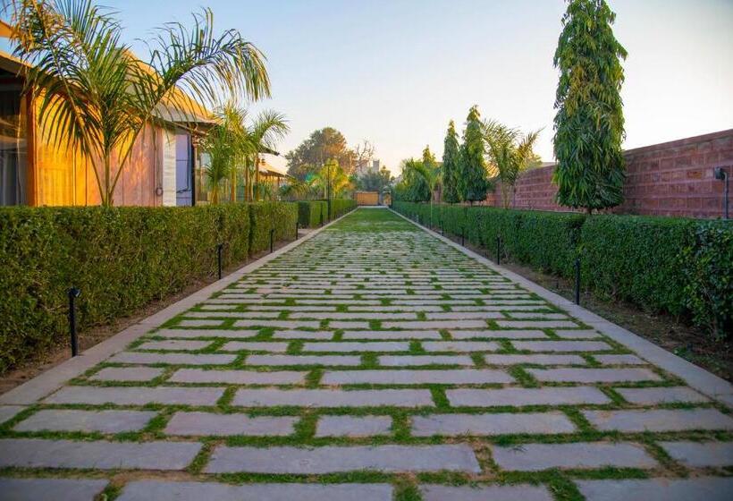 اتاق استاندارد, Kurja Resort Balsamand