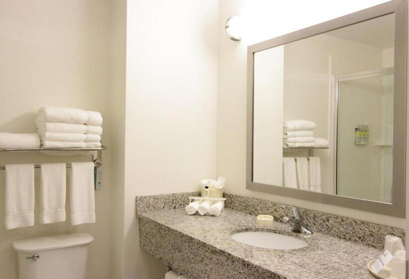 キングサイズベッドのスタンダードルーム, Holiday Inn Express And Suites Montgomery, An Ihg