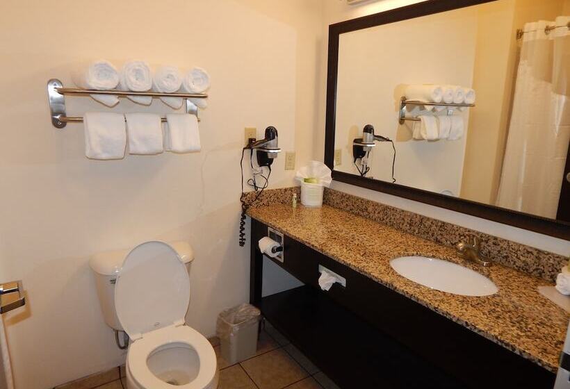 套房, Holiday Inn Express & Suites Washington   Meadow Lands, An Ihg
