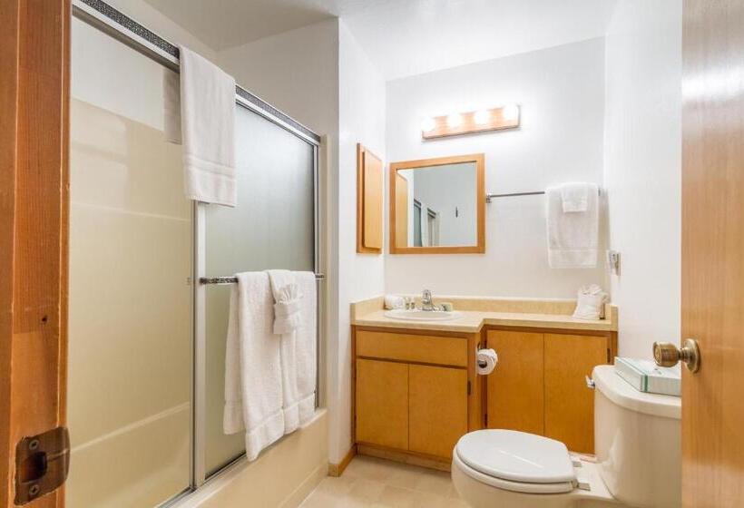 Апартаменты 2 Спальни, Mountain Retreat Resort, A Vri Resort