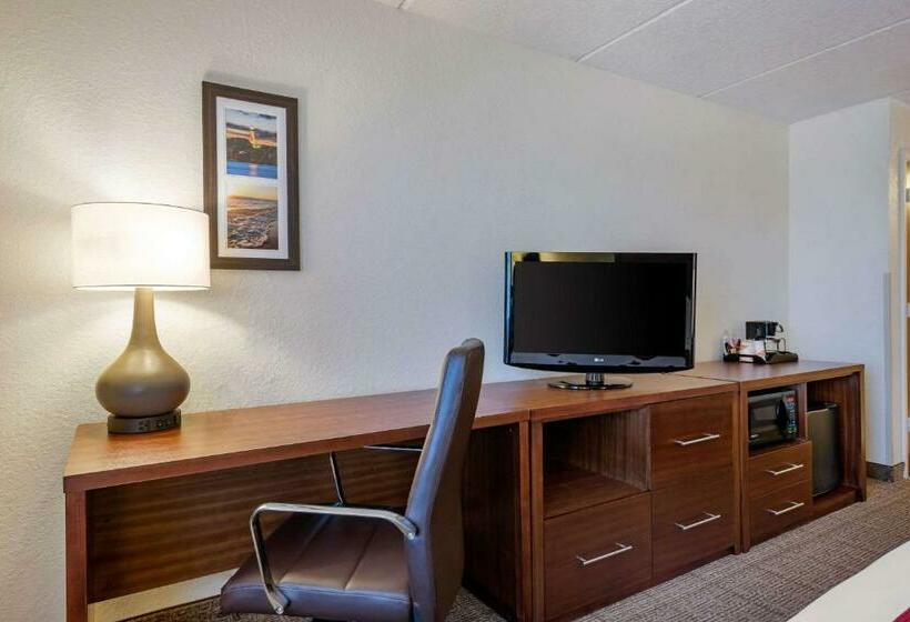スタンダードルーム, Comfort Inn Kissimmee-Lake Buena Vista South