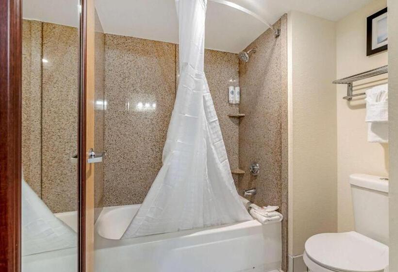 スタンダードルーム, Comfort Inn Kissimmee-Lake Buena Vista South