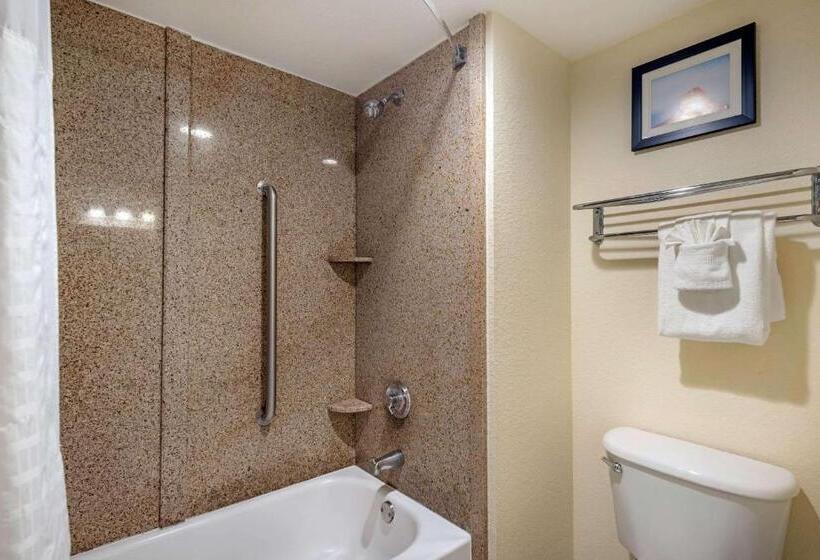 キングサイズベッドのスタンダードルーム, Comfort Inn Kissimmee-Lake Buena Vista South