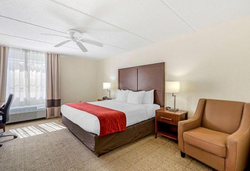 キングサイズベッドのスタンダードルーム, Comfort Inn Kissimmee-Lake Buena Vista South
