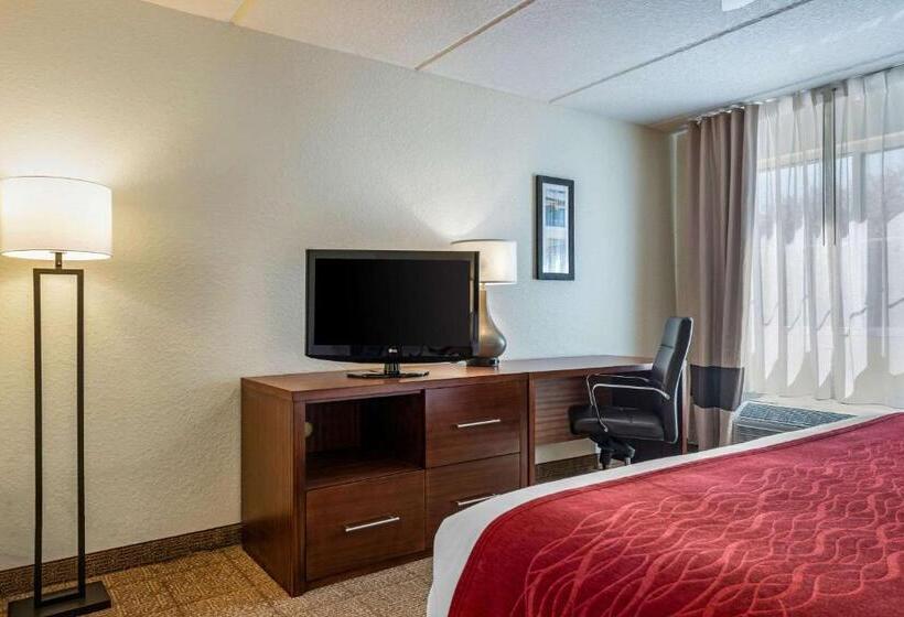 キングサイズベッドのスタンダードルーム, Comfort Inn Kissimmee-Lake Buena Vista South