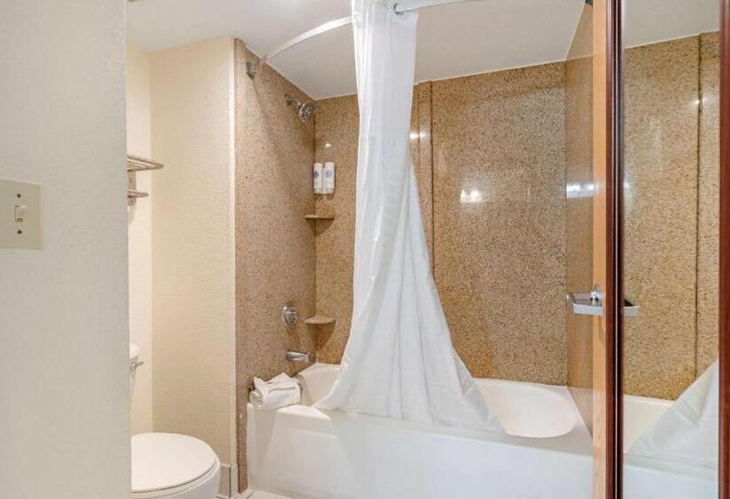 キングサイズベッドのスタンダードルーム, Comfort Inn Kissimmee-Lake Buena Vista South