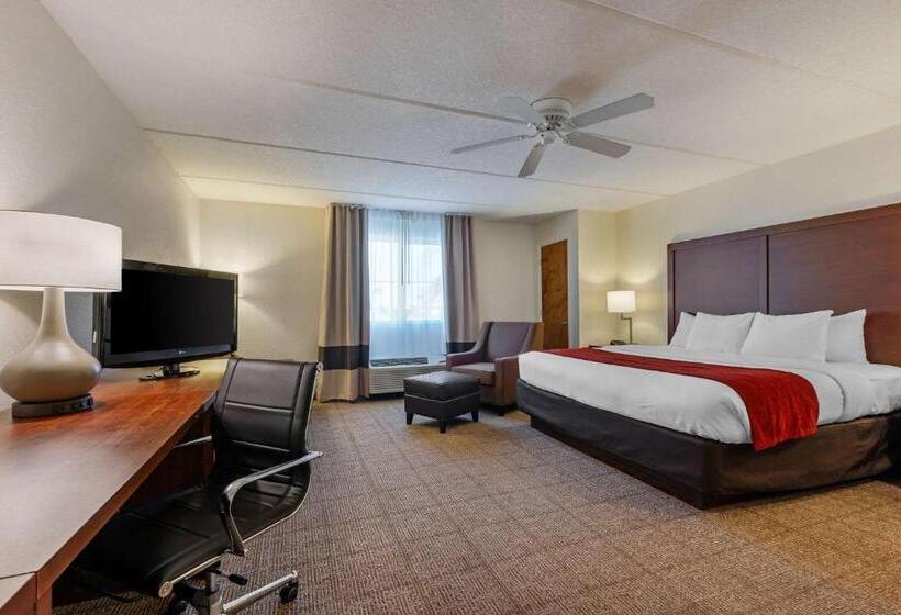 キングサイズベッドのスタンダードルーム, Comfort Inn Kissimmee-Lake Buena Vista South