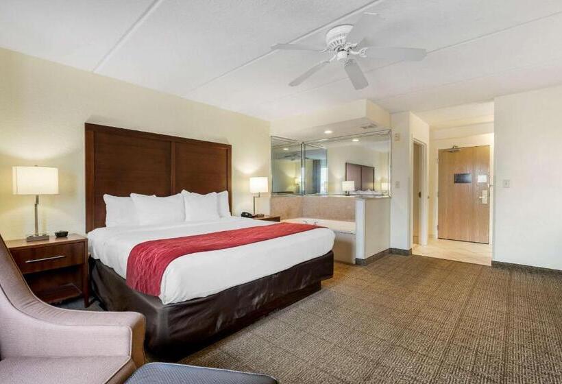 キングサイズベッドのスタンダードルーム, Comfort Inn Kissimmee-Lake Buena Vista South