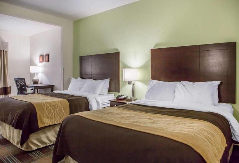 스탠다드 룸 더블 침대 2개, Comfort Inn Lexington South