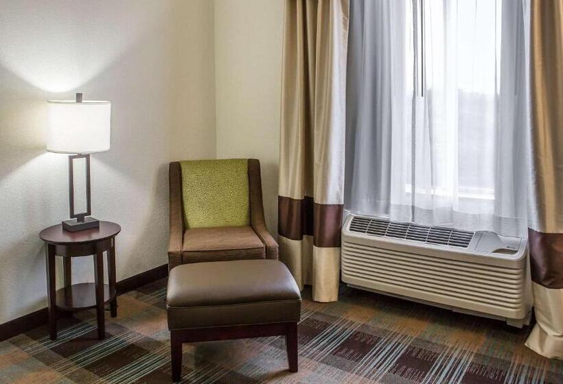 스탠다드 룸 킹사이즈 침대, Comfort Inn Lexington South