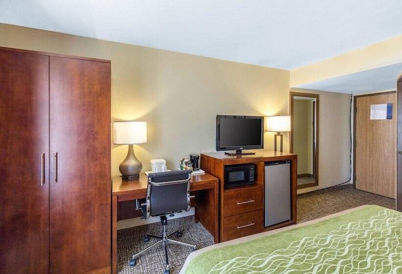 اتاق استاندارد با تخت بزرگ, Comfort Inn Wichita Falls North