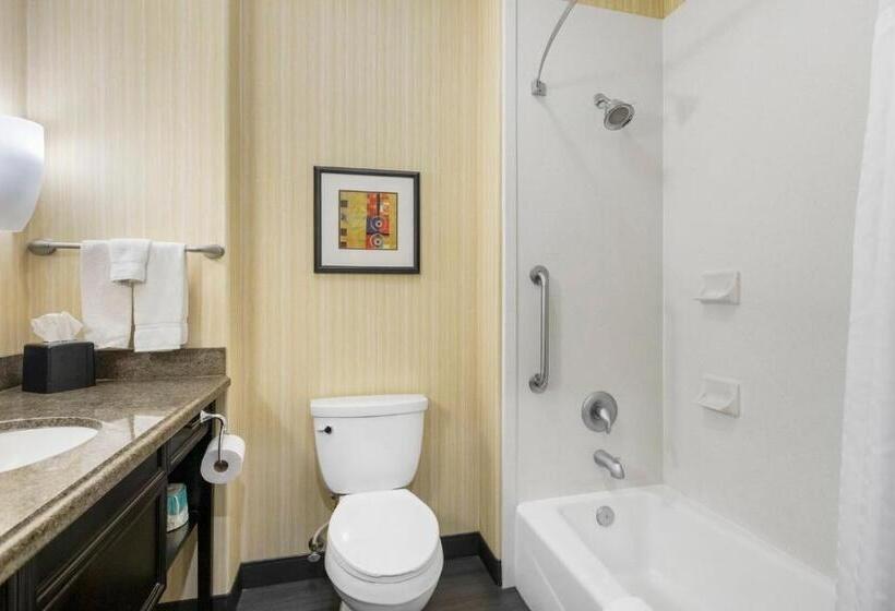 Люкс, Holiday Inn Hotel & Suites Waco Northwest, An Ihg