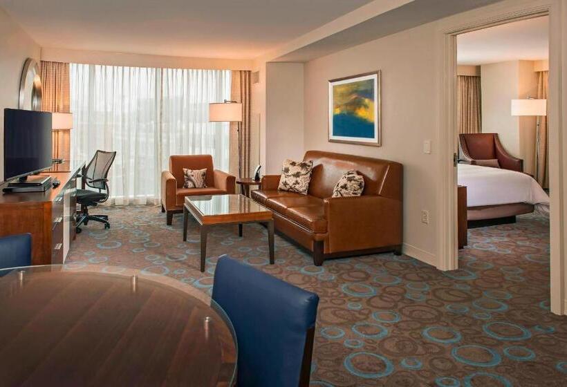 스위트, Marriott Marquis Washington, Dc