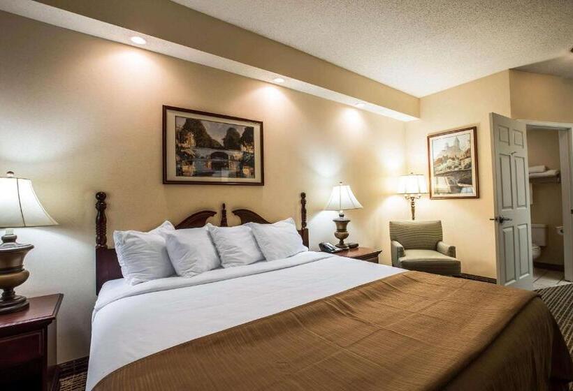 带大床的标准间, Quality Inn