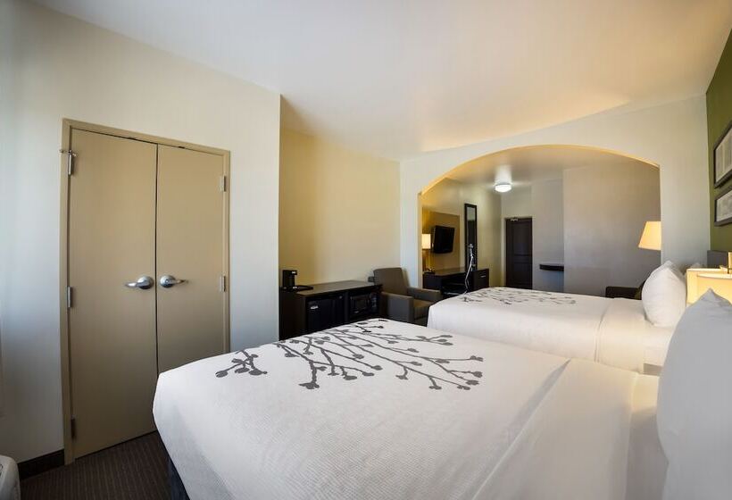 Люкс, Sleep Inn & Suites