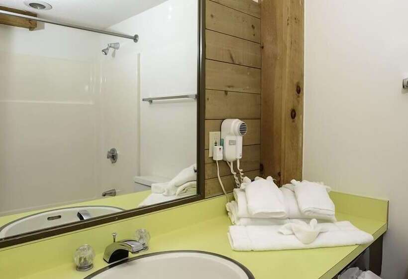Номер Стандарт, Snowy Owl Inn