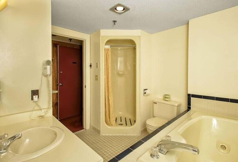 Номер Премиум, Snowy Owl Inn