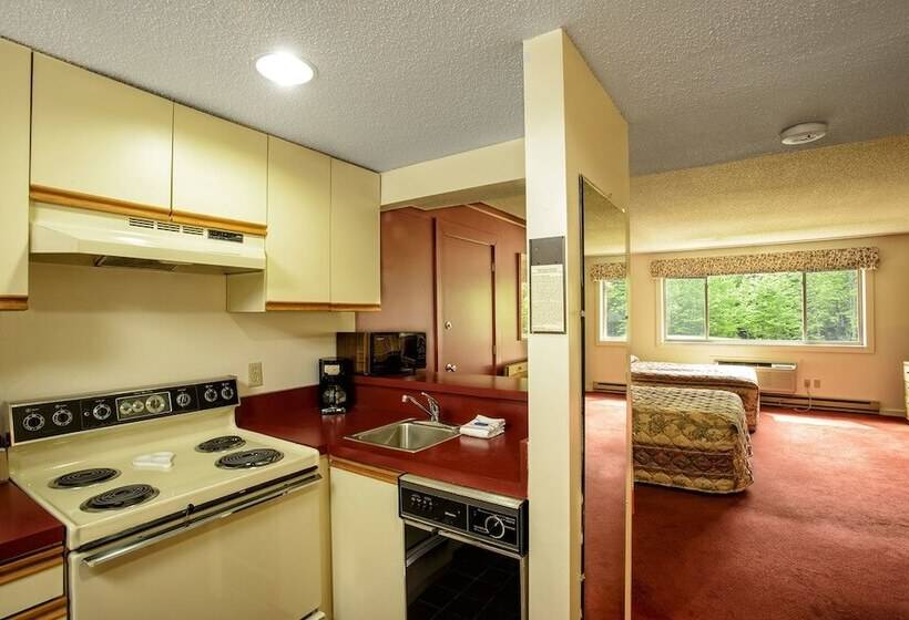 Студия Стандарт, Snowy Owl Inn