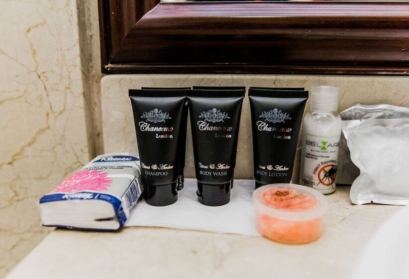 اتاق استاندارد با تخت بزرگ, Belaire Suites