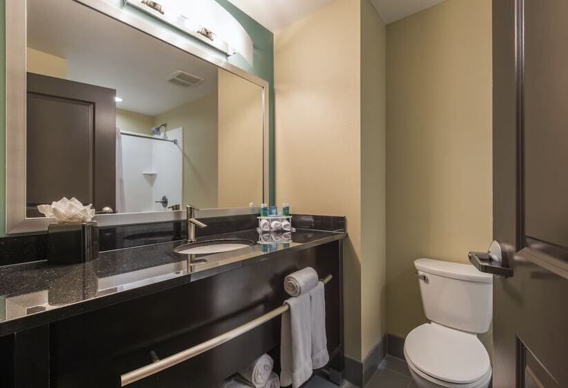 سوییت, Holiday Inn Express & Suites Colorado Springs Central, An Ihg