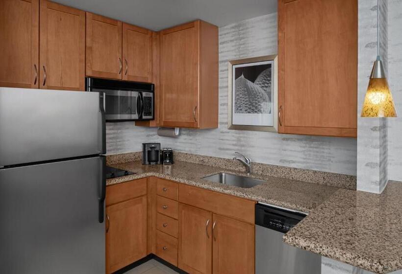 Люкс Кровать Кинг, Residence Inn East Rutherford Meadowlands