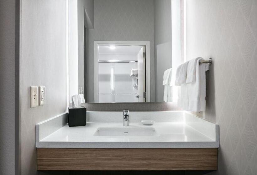 Студио Стандарт Кровать Кинг, Springhill Suites By Marriott Cheyenne