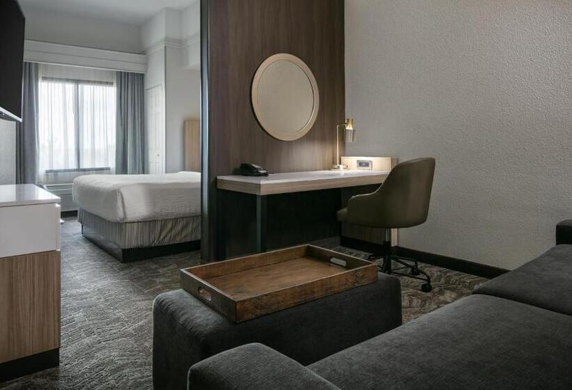 Студио Стандарт Кровать Кинг, Springhill Suites By Marriott Cheyenne