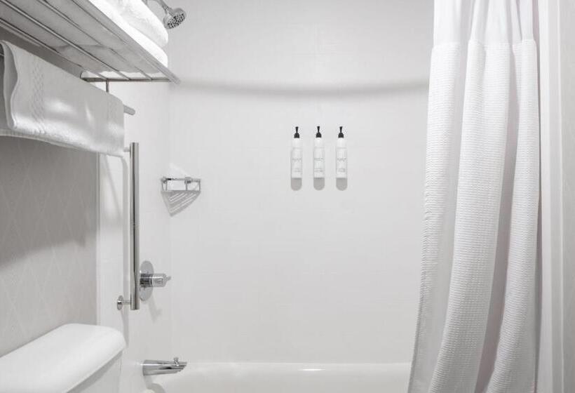 Студия Стандарт, Springhill Suites By Marriott Cheyenne