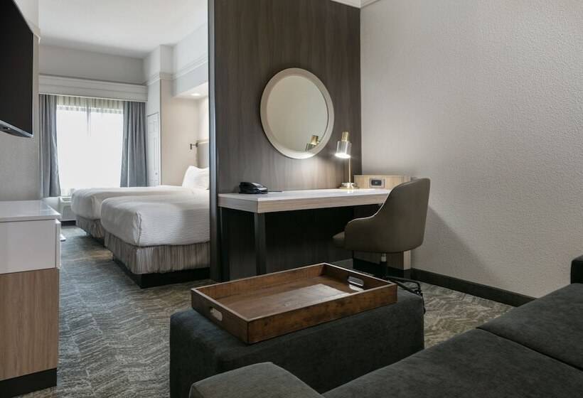 Студия Стандарт, Springhill Suites By Marriott Cheyenne