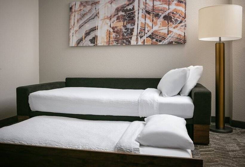 Студия Стандарт, Springhill Suites By Marriott Cheyenne