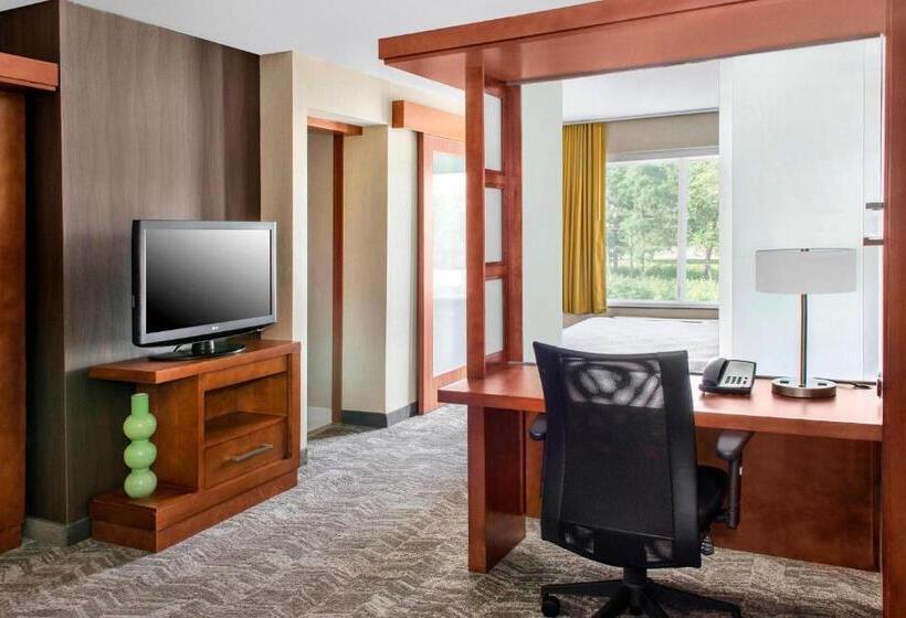 Студио Стандарт Кровать Кинг, Springhill Suites Long Island Brookhaven